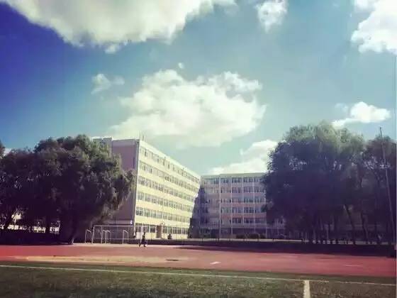 这5所大学的特色专业就业率达99%-